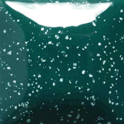 SP-210-cone06.png