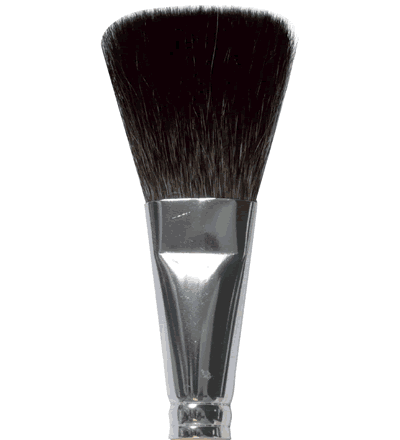 QUEUE-DE-MORUE-PETIT-GRIS-PUR-PLAT-N6