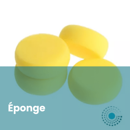 Éponges