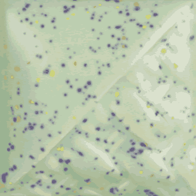 SW221_Mint_Speck-