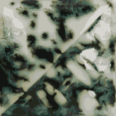 SW222_Green_Jasper